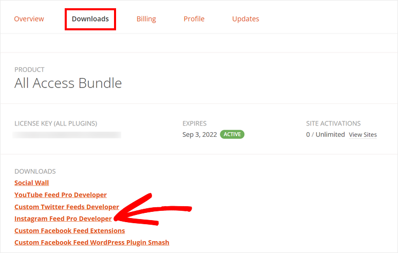 baixar plugin de feed do instagram - IsItWP - Detector de tema WordPress gratuito download instagram feed plugin