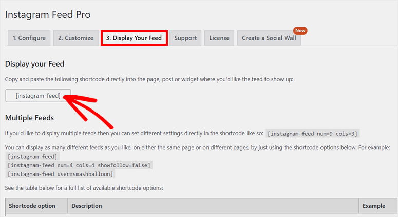 opções de exibição - IsItWP - Detector de tema WordPress gratuito display options how to add instagram feed in wordpress