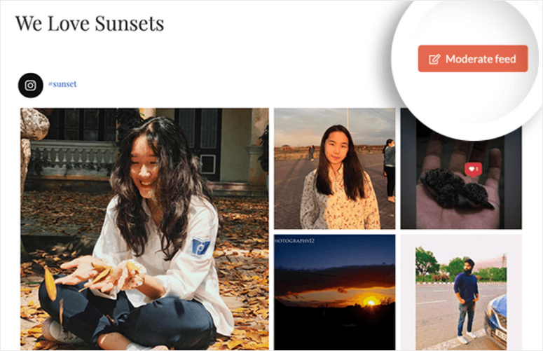 feed de hashtag - IsItWP - Detector de tema WordPress gratuito hashtag feed