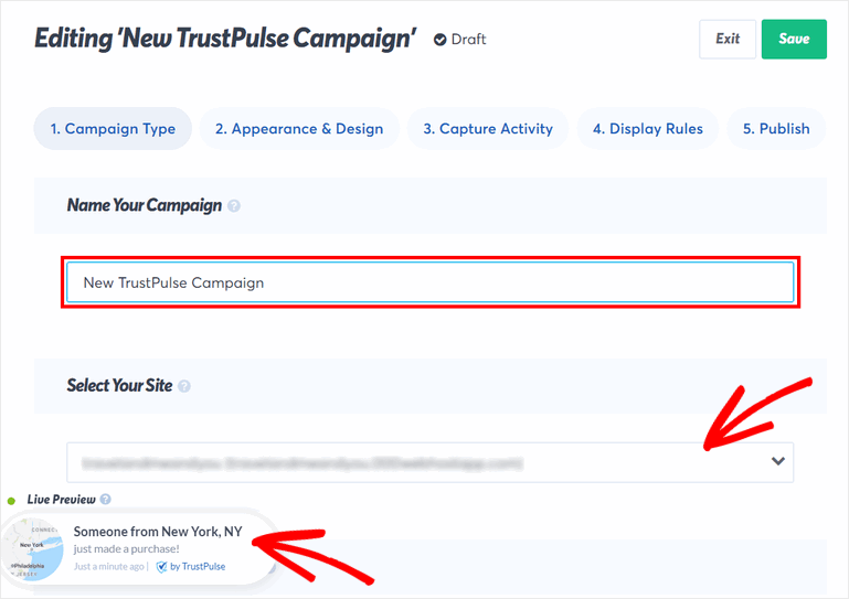buat popup notifikasi penjualan terbaru - IsItWP - Detektor Tema WordPress Gratis create a recent sales notification popup