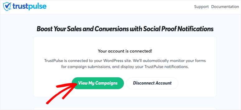 lihat kampanye - IsItWP - Detektor Tema WordPress Gratis view campaigns