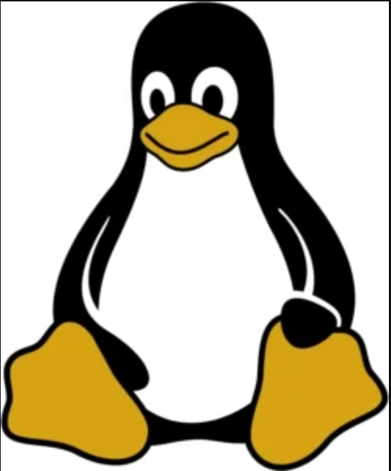 35 nützliche und grundlegende Linux-Befehle, die Sie kennen sollten 3 Screenshot 5 1 35 Useful and Basic Linux Commands You Should Know