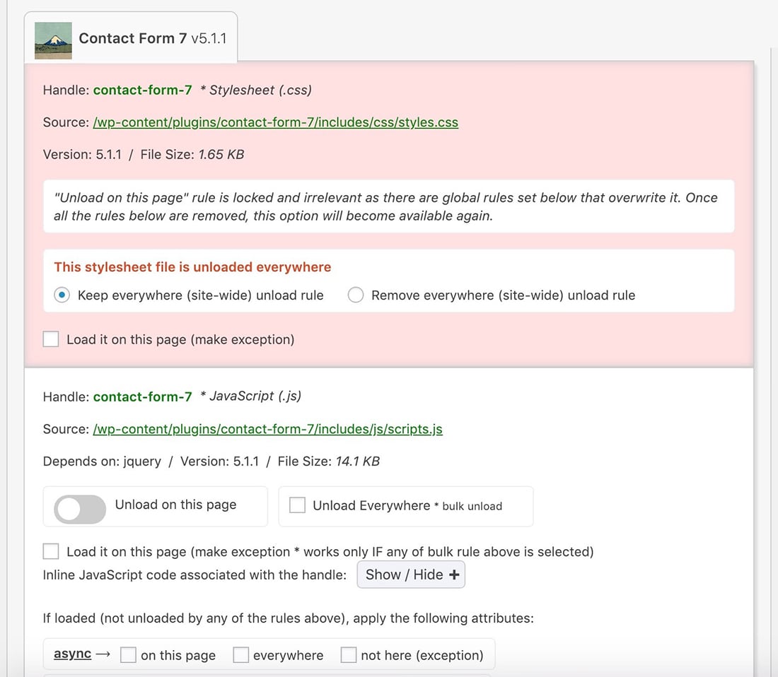 Korzystanie z wtyczki Asset CleanUp WordPress do blokowania ładowania niektórych skryptów i stylów na stronie.