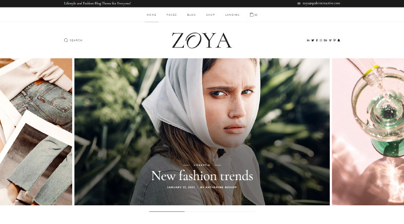Ce este o postare pe blog și cum să o scrii ca un profesionist? 6 Zoya fashion blog theme