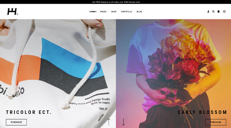 Los 10 temas de WordPress para escaparate de productos más atractivos 9 Haaken WordPress Theme