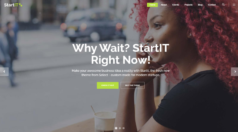 Los 10 temas de WordPress para exhibición de productos más atractivos 5 Startit one page WordPress theme