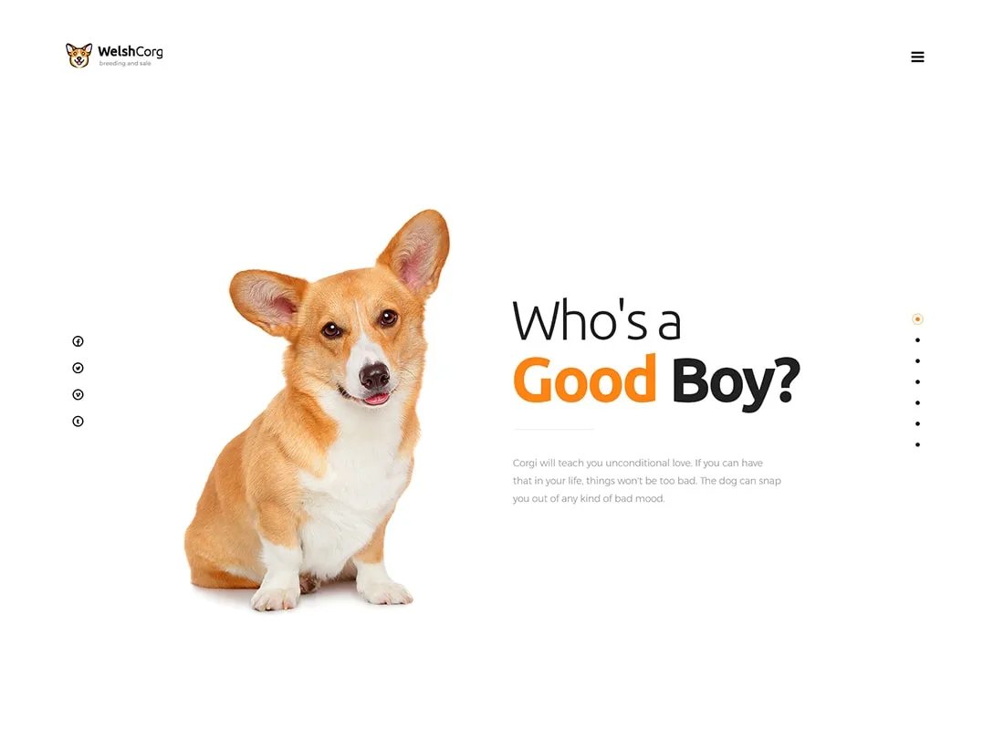 威爾士柯基犬 |狗飼養和銷售 WordPress 主題