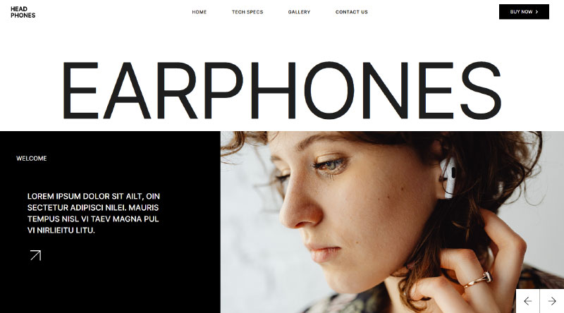 8 thèmes WordPress à produit unique avec caractère 2 Product Showcase Qi theme