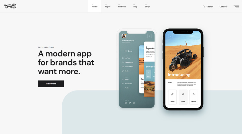 8 thèmes WordPress à produit unique avec caractère 3 WebOn WordPress Theme