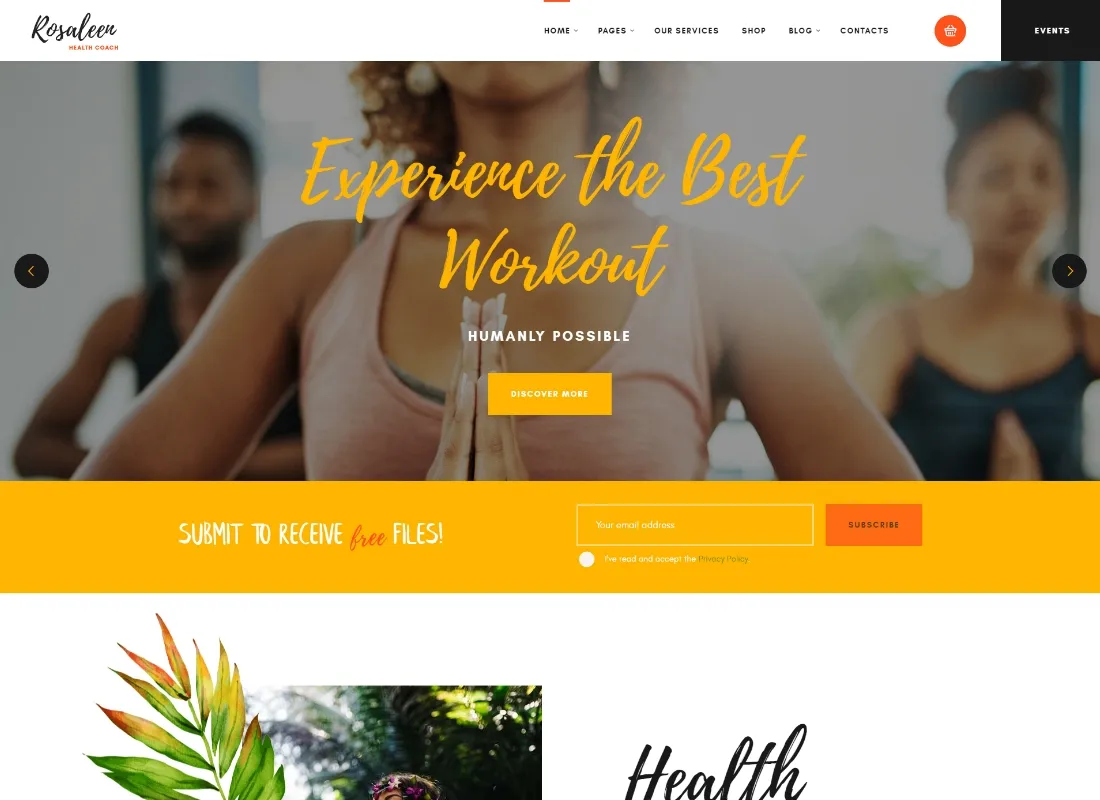 Rosaleen | Pelatih Kesehatan, Pembicara & Motivasi Tema WordPress
