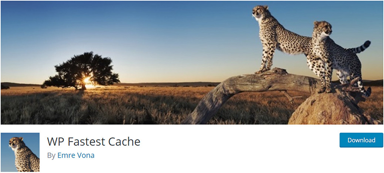 La cache più veloce del WP