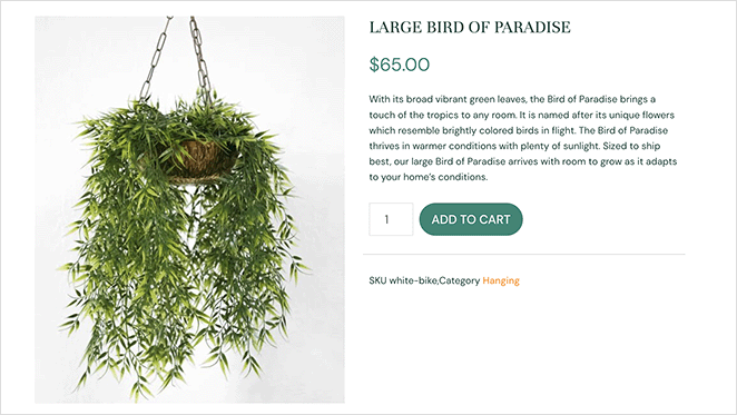 woocommerce-short-description - SeedProd WooCommerce short description