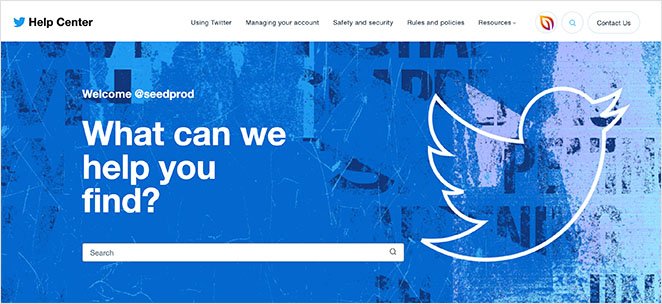 twitter-best-faq-pages - SeedProd Twitter best faq pages