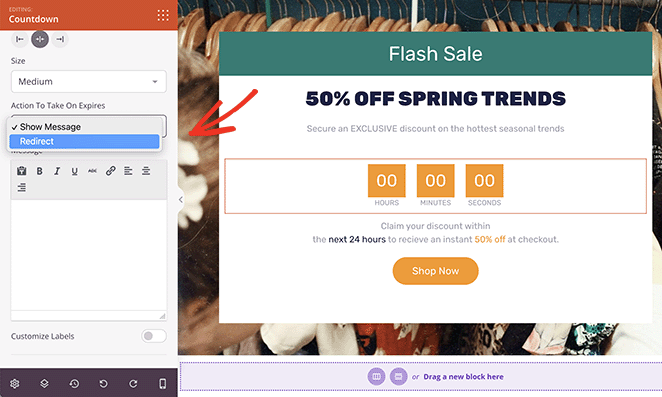 倒數計時器設置 - SeedProd Countdown timer block settings