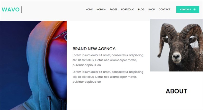 Motyw premium Wavo WordPress dla początkujących