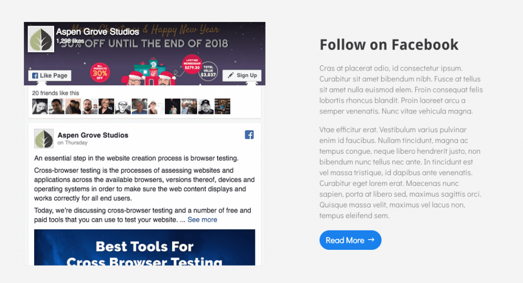 Agregar feed de Facebook a la vista previa de demostración de WordPress