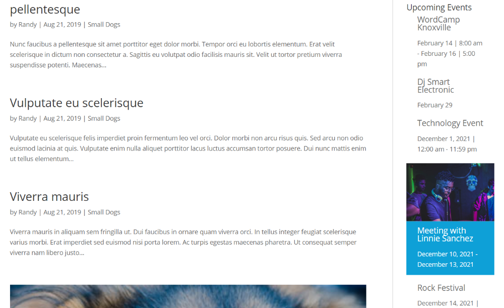 Widget pentru evenimente