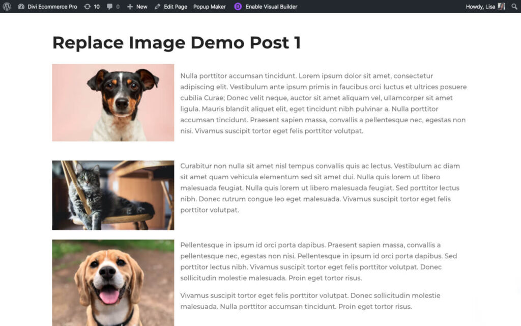 Демонстрация плагина Replace Image Aspen Grove Studios