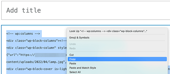 生のコードブロックをコピーする Copy raw code blocks