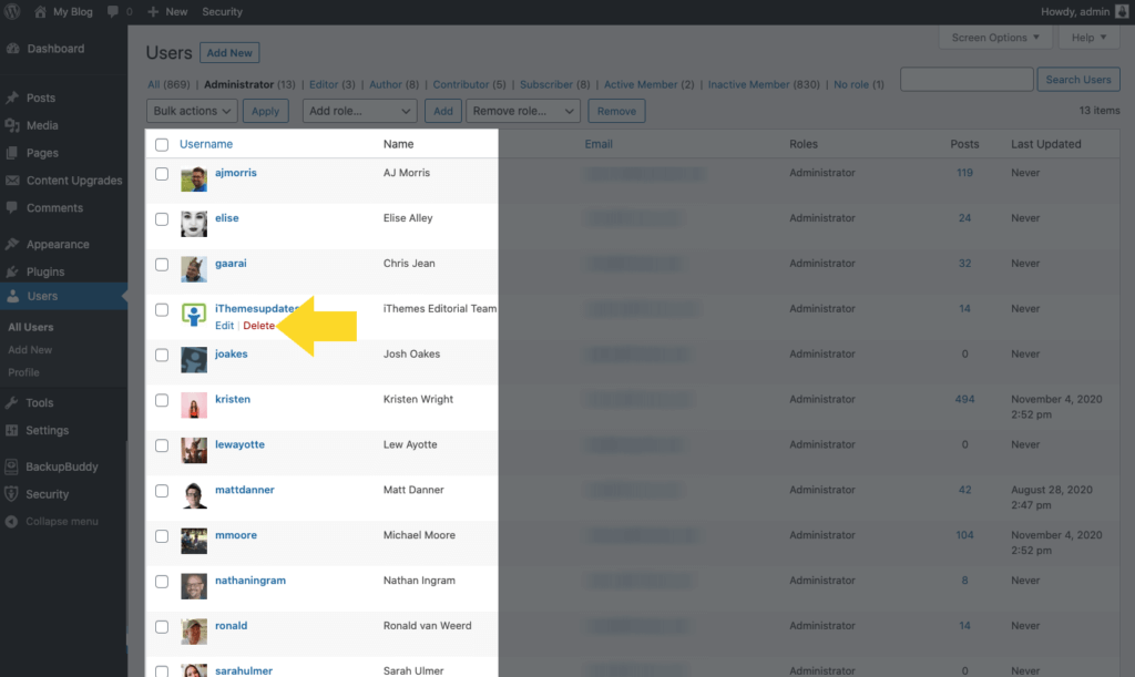 excluir usuário do WordPress