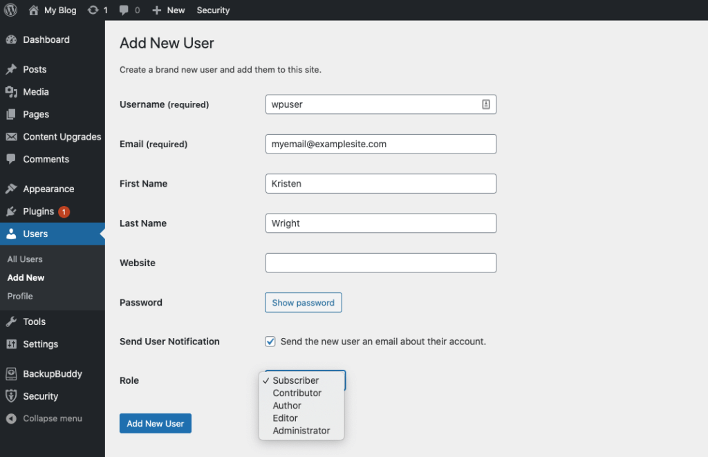 Adicionar novo usuário no WordPress