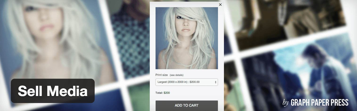 Plugin Jual Media.