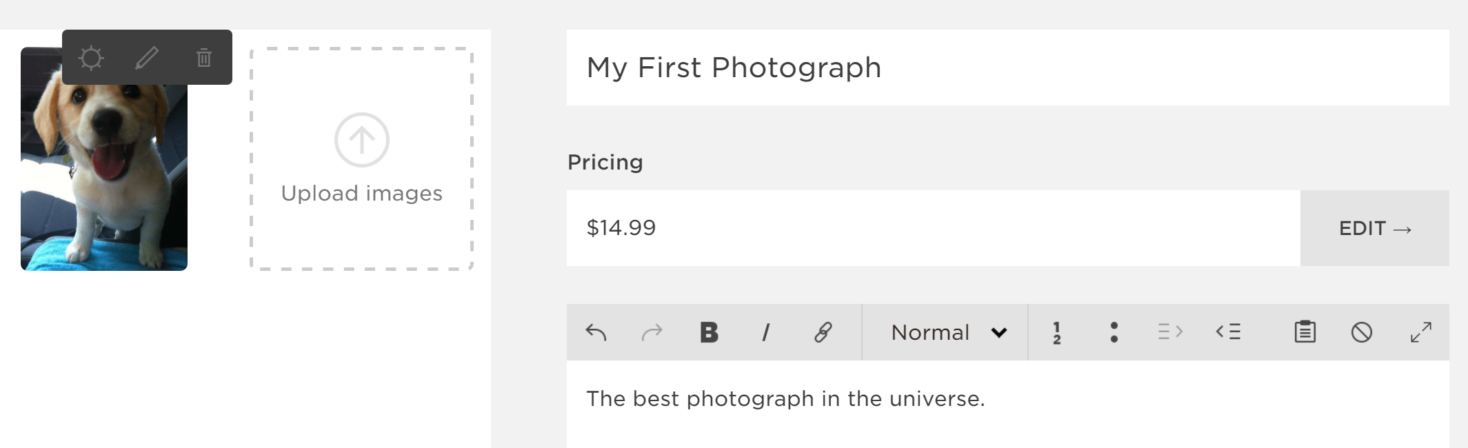 Opsi dasar untuk produk Squarespace.