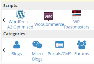 通过 cPanel 安装 WordPress 的选项。