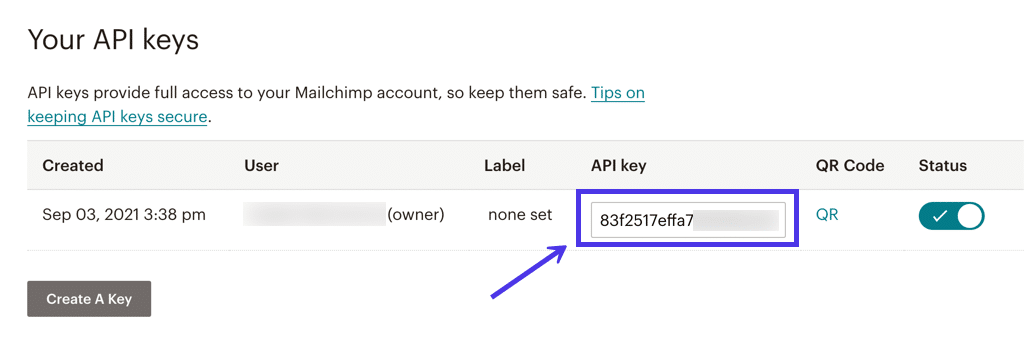 Расположение ключа API A screenshot highlighting the API key.