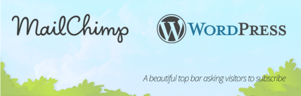 Плагин MC4WP