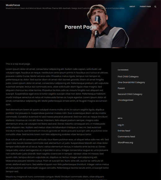 MusicFocus
