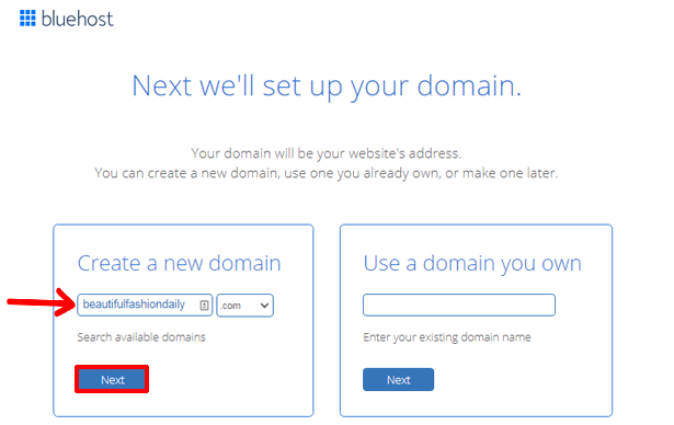 Einrichten des Domainnamens So erstellen Sie einen Online-Shop mit WordPress