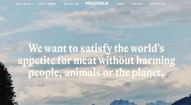 Página de inicio de Meatable Startup - SeedProd Meatable startup landing page