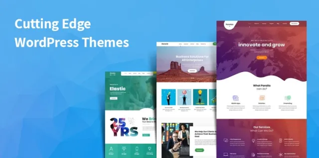 ธีม WordPress ล้ำสมัย