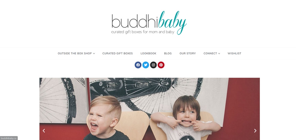 Exemplo de site Buddhi Baby
