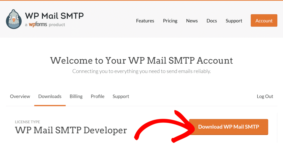 Laden Sie die WP Mail-Zip-Datei herunter