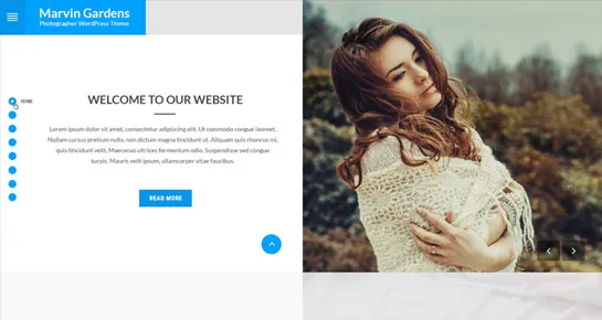 pemasaran tema WordPress