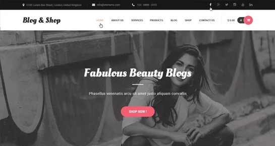 Blog-Shop-WordPress-Themen
