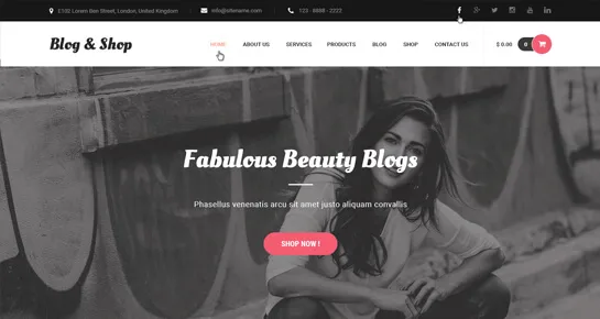 blog boutique thèmes wordpress