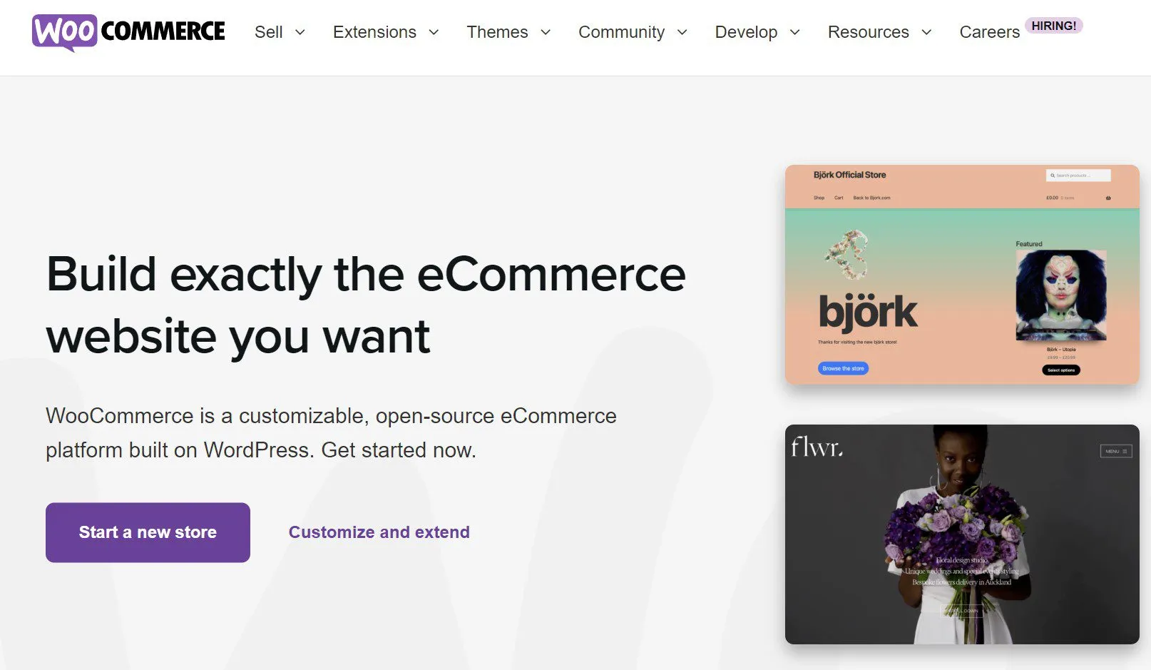 WooCommerce