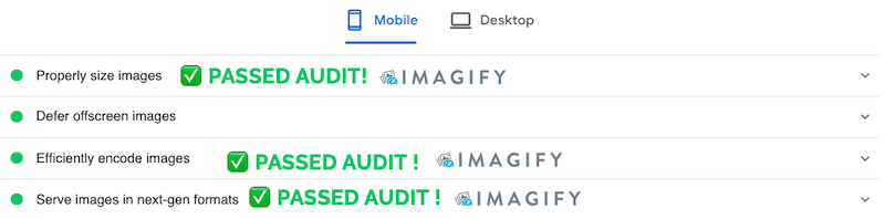 Auditoría aprobada con Imagify - Fuente: PageSpeed ​​Insights