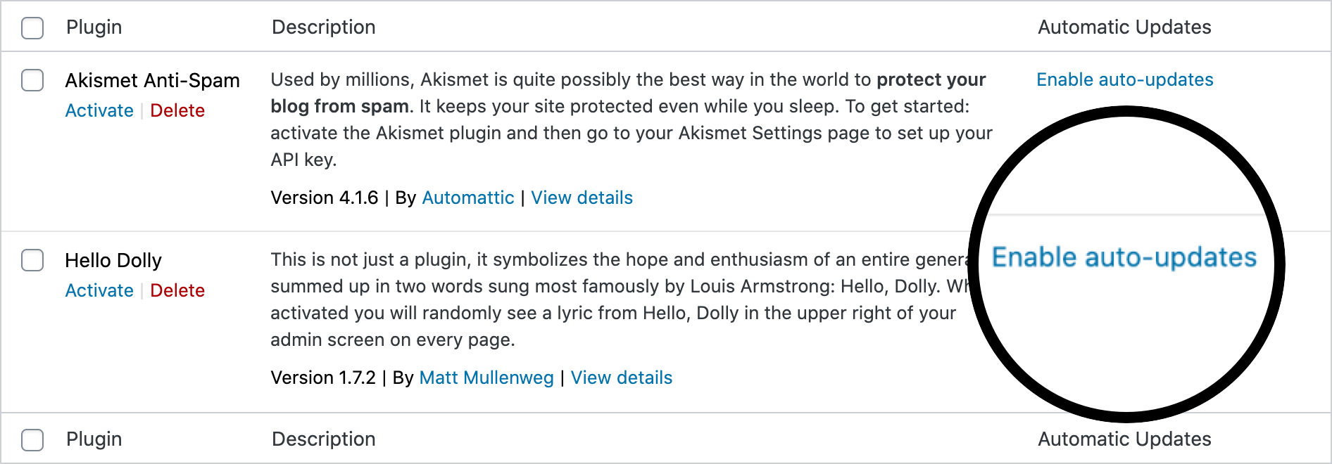 Abilita gli aggiornamenti automatici per i plugin di WordPress