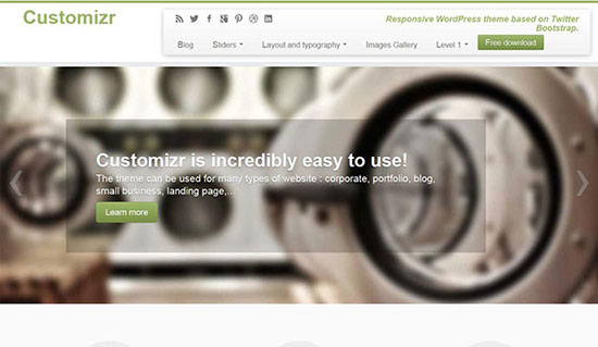 Customizr