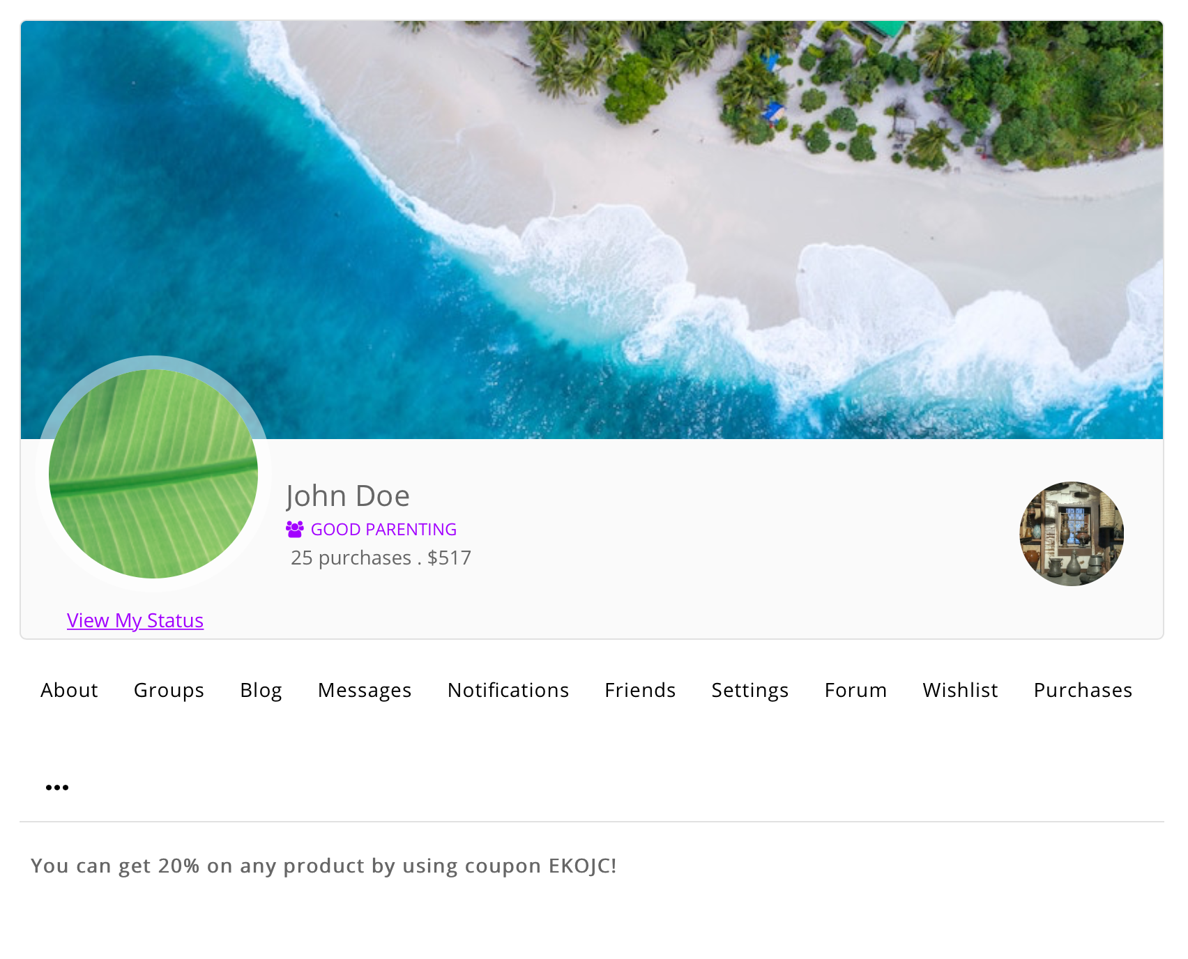 WordPress 用戶個人資料中可見的受限內容