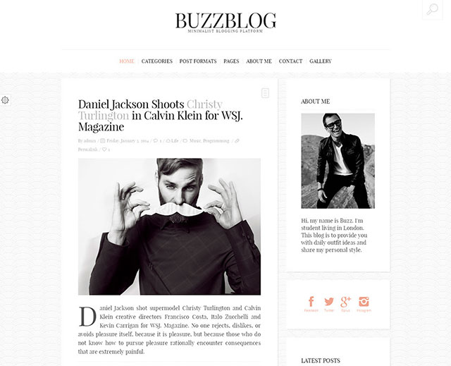 BuzzBlog