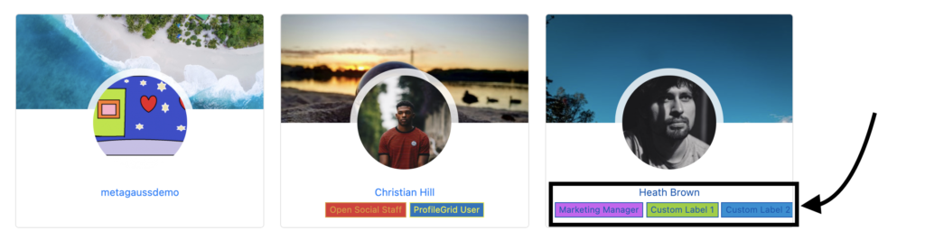 etichette personalizzate front-end