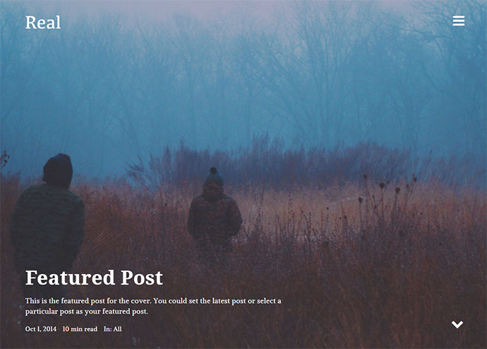 REAL - Responsive Blog WordPress Theme
