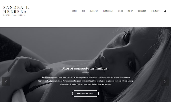 Modish - ธีมแฟชั่น WordPress ธีม