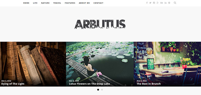 Arbutus - ธีมบล็อก WordPress ที่ตอบสนอง