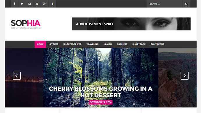 โซเฟีย - ธีม WordPress นิตยสารที่หรูหรา